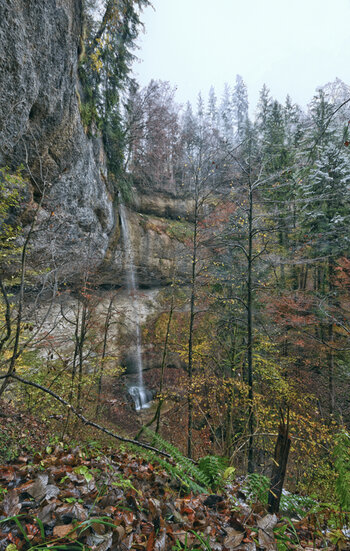 DSC_6654.f.jpg