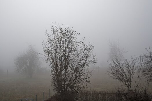 suppe.jpg