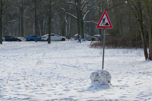 DSC_0487_DxO.jpg