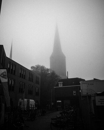 NL081125-38.jpg