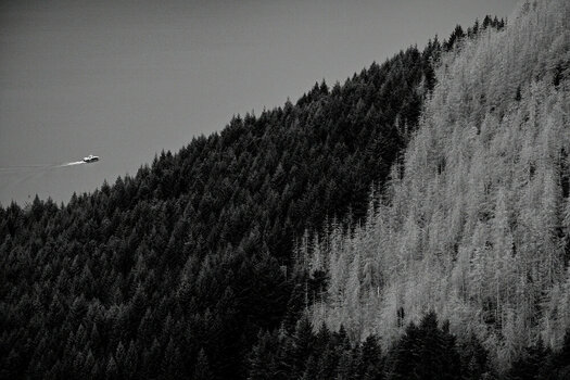 ZGF_0680_01.JPG