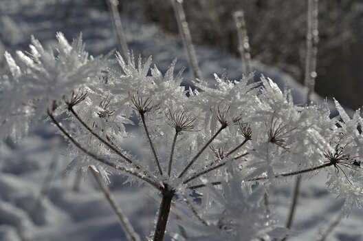 _DSC7819.f.jpg