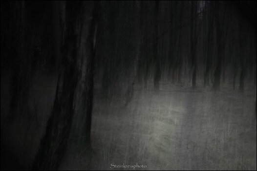 comp_DSC_0707nightmare.jpg