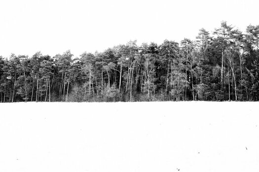 080126BR.jpg