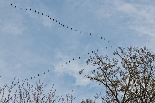 DSC_0509_DxO.jpg