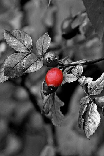 WRUD_Colorkey_004.jpg