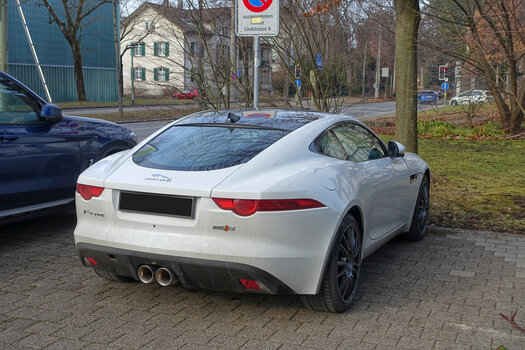 DSC08620.f.jpg