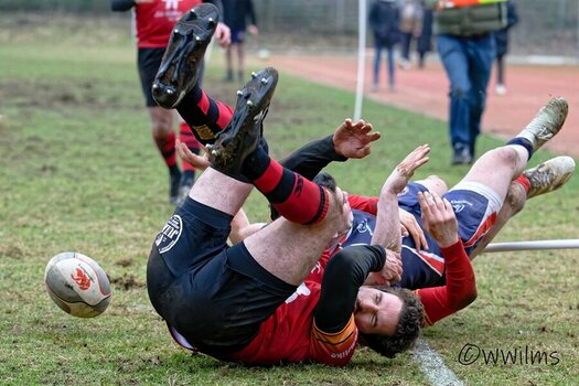 DSC_1940_DxO_DxO - Kopie.jpg