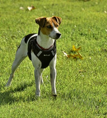 OLD 2026 - 036.jpg