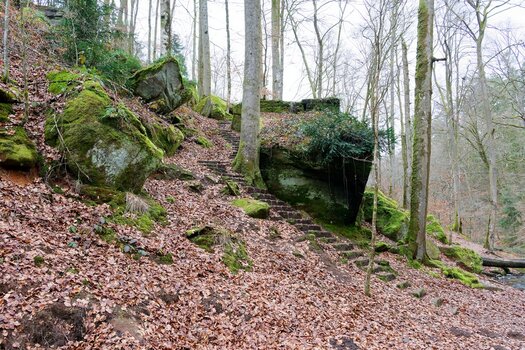 treppen.jpg