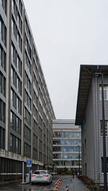 DSC08694.f.jpg