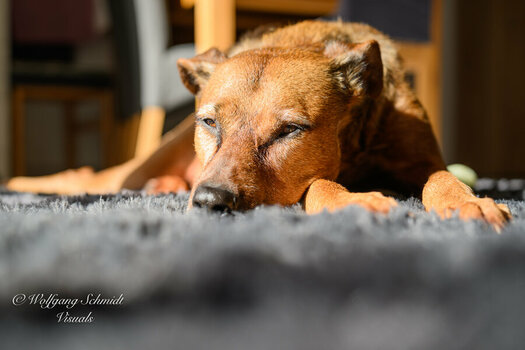 20260216 - unbenannt-3.jpg