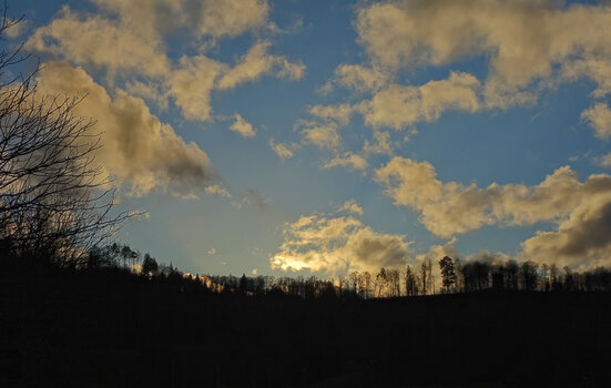 DSC08736.f.jpg