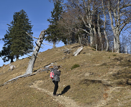_DSC0217.f.5.7.jpg