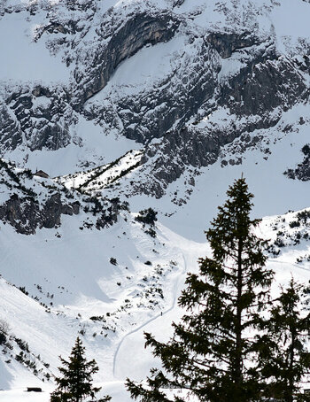 DSC_4181_01.JPG