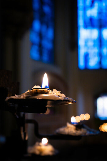 DSC_0048-2.jpg