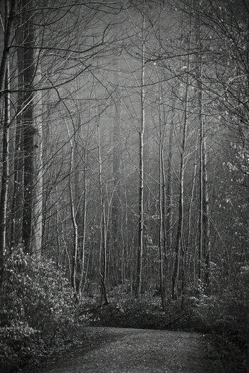 ZGF_1938_02_01.JPG