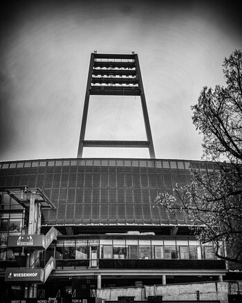 NZR_7746_IG_01.jpg