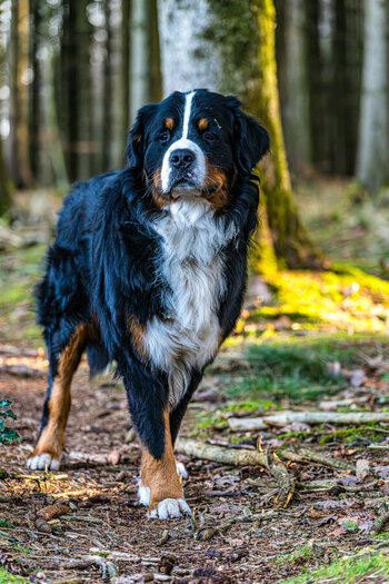 DSC_0200.jpg