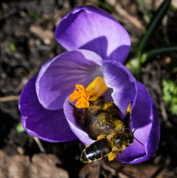 DSC_0676-DxO_DeepPRIME XD2s_DxO.jpg