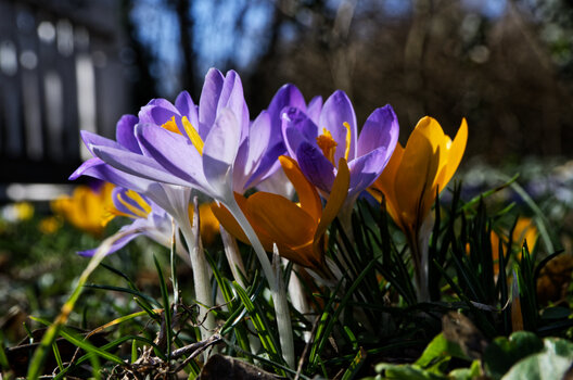 DSC_0685-DxO_DeepPRIME XD2s_DxO.jpg