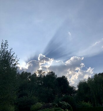 IMG_2243.jpeg