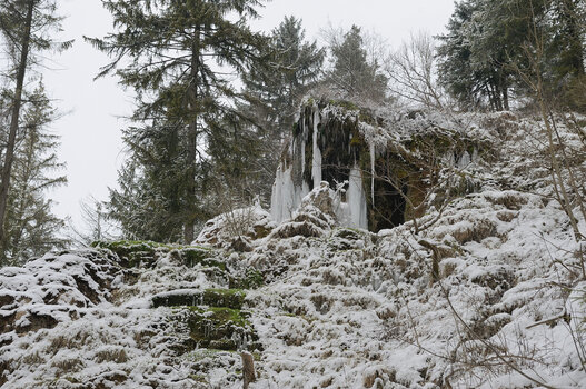 DSC_4228.f.jpg