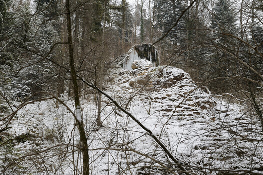 DSC_4233.f.jpg
