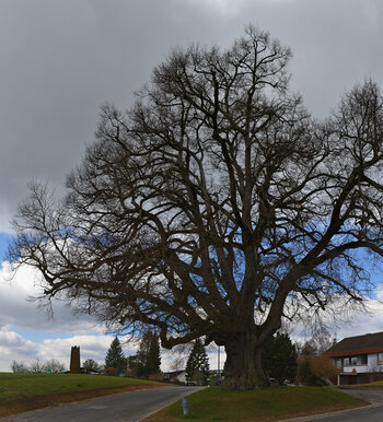 Neues Panorama 2.f5.jpg