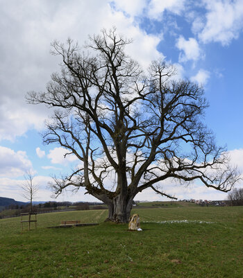 Neues Panorama 2.f1.jpg