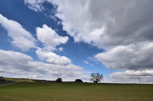 DSC_4551.f.jpg
