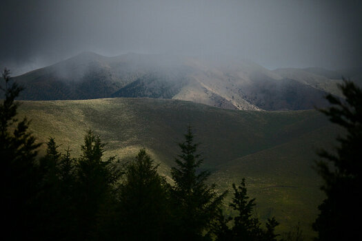 ZGF_0557_01.JPG