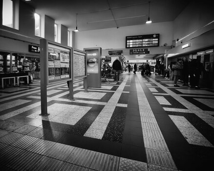 NL081125-214.jpg