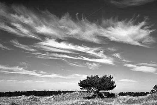 1750669028_eric-scheuermann-landschaftsfotografie-puristisch-in-schwarz-weiss.jpg