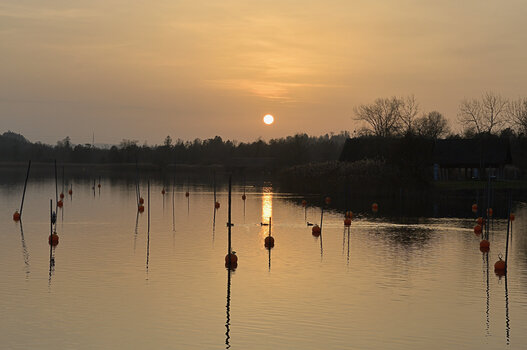 DSC_6572.f.jpg