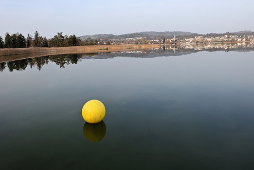 DSC_6561.f.jpg