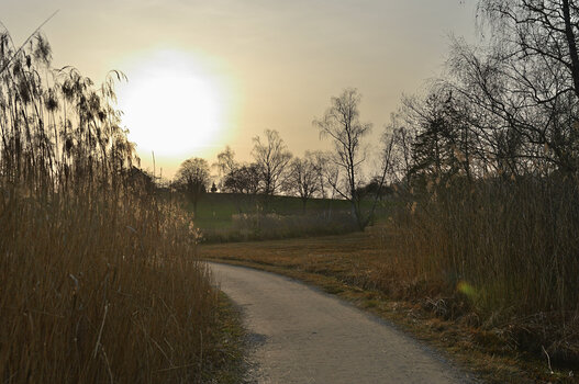 DSC_6567.f.jpg