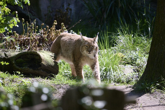DSC_2099.jpg