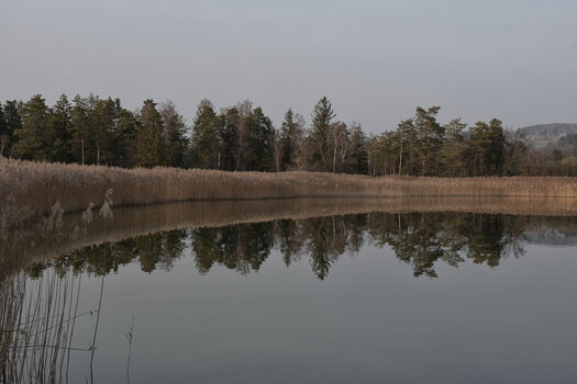 DSC_6565.f.jpg