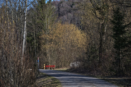 DSC_6482.f.jpg