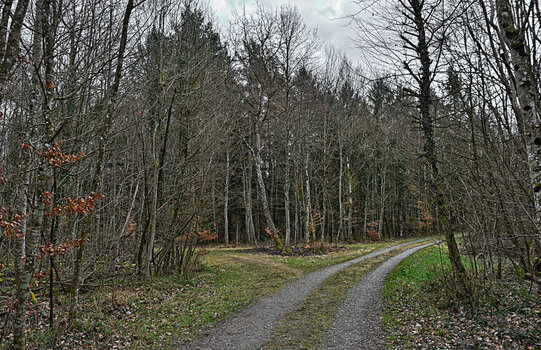 DSC_7902.f.jpg