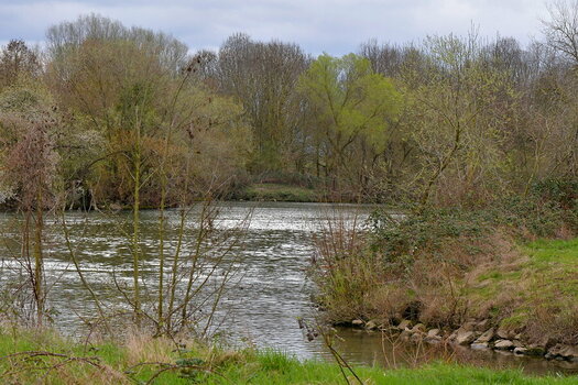 WRU_6787.JPG