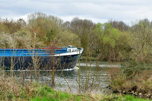 WRU_6800.JPG