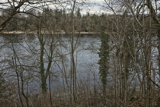 DSC_7934.f.jpg