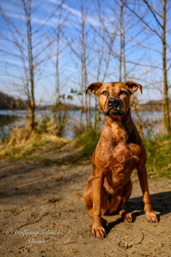 20260319 - unbenannt-13.jpg