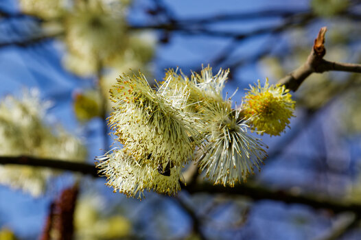 DSC_1014_DxO.jpg