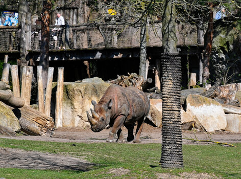DSC_1035_DxO.jpg