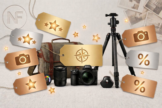 Eine hochwertige Zusammenstellung von Foto-Equipment, darunter eine spiegellose Kamera, ein Stativ, Objektive und eine Fototasche, umgeben von schwebenden, goldenen und silbernen Preisetiketten mit Stern- und Prozent-Symbolen vor einem hellen, neutralen Hintergrund mit dezentem Netzwerk Fotografie Logo.