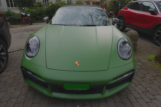 DSC08906.f.jpg