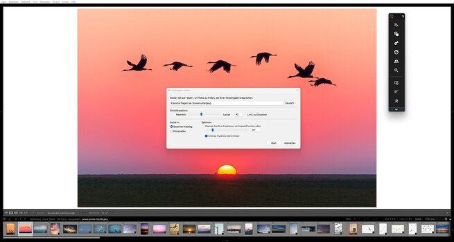 k_Excire_search_quick-access-panel-prompt-search.jpg k_Excire_search_quick-access-panel-prompt-search.jpg